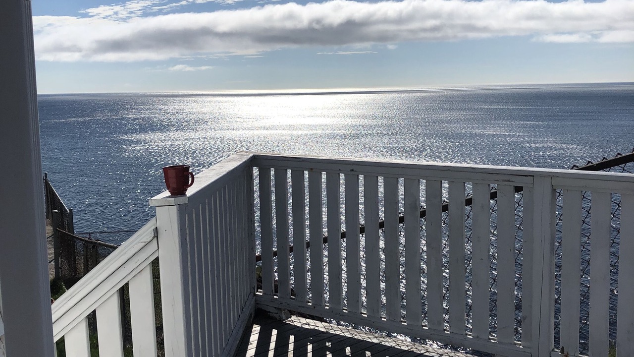 Photo of Others in St. John's