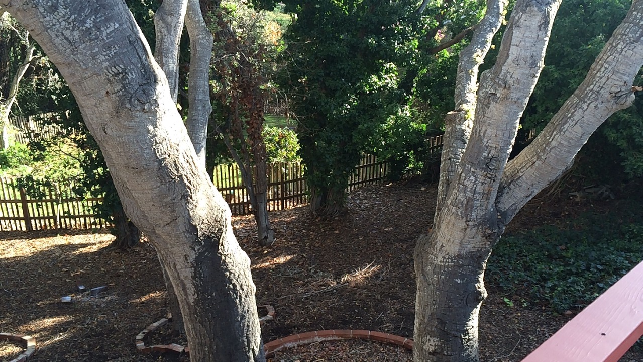 Photo of Outdoor in Carmel