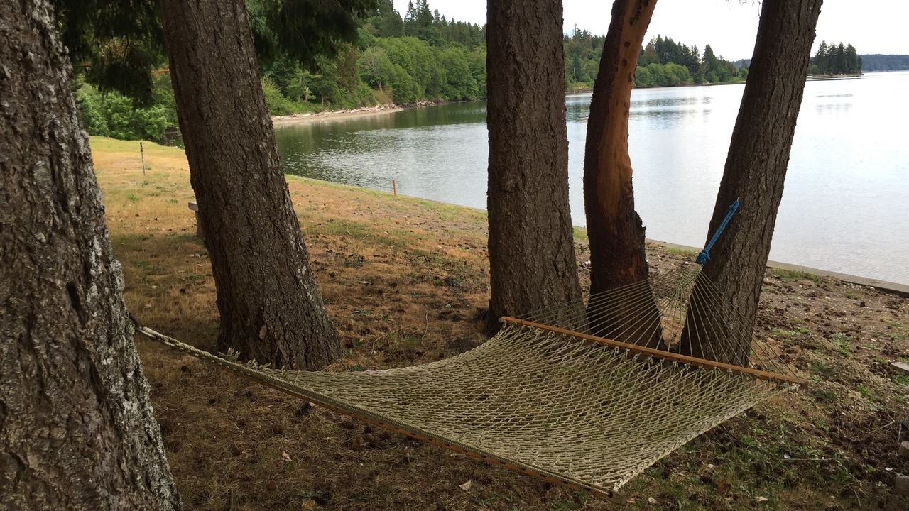 Photo of Others in Burley