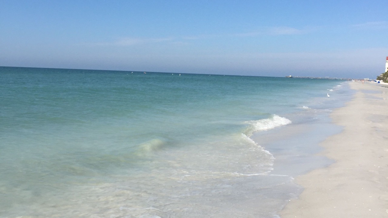 Photo of Others in Redington Shores