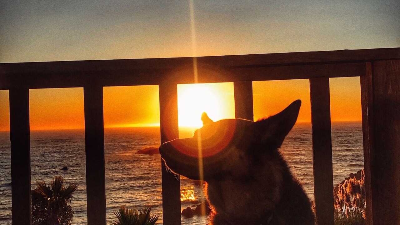 Photo of Patio Balcony in Westport