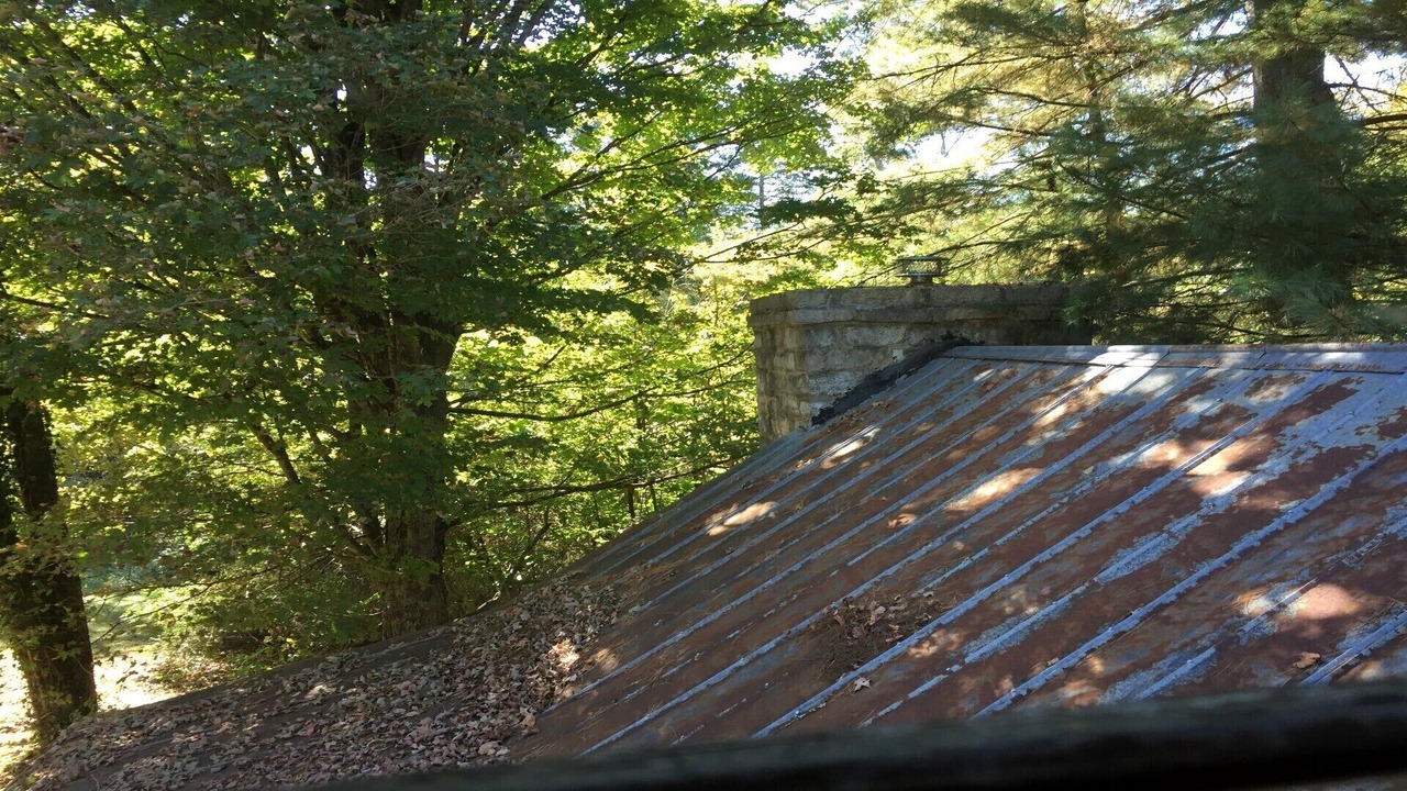 Photo of Others in Tusculum