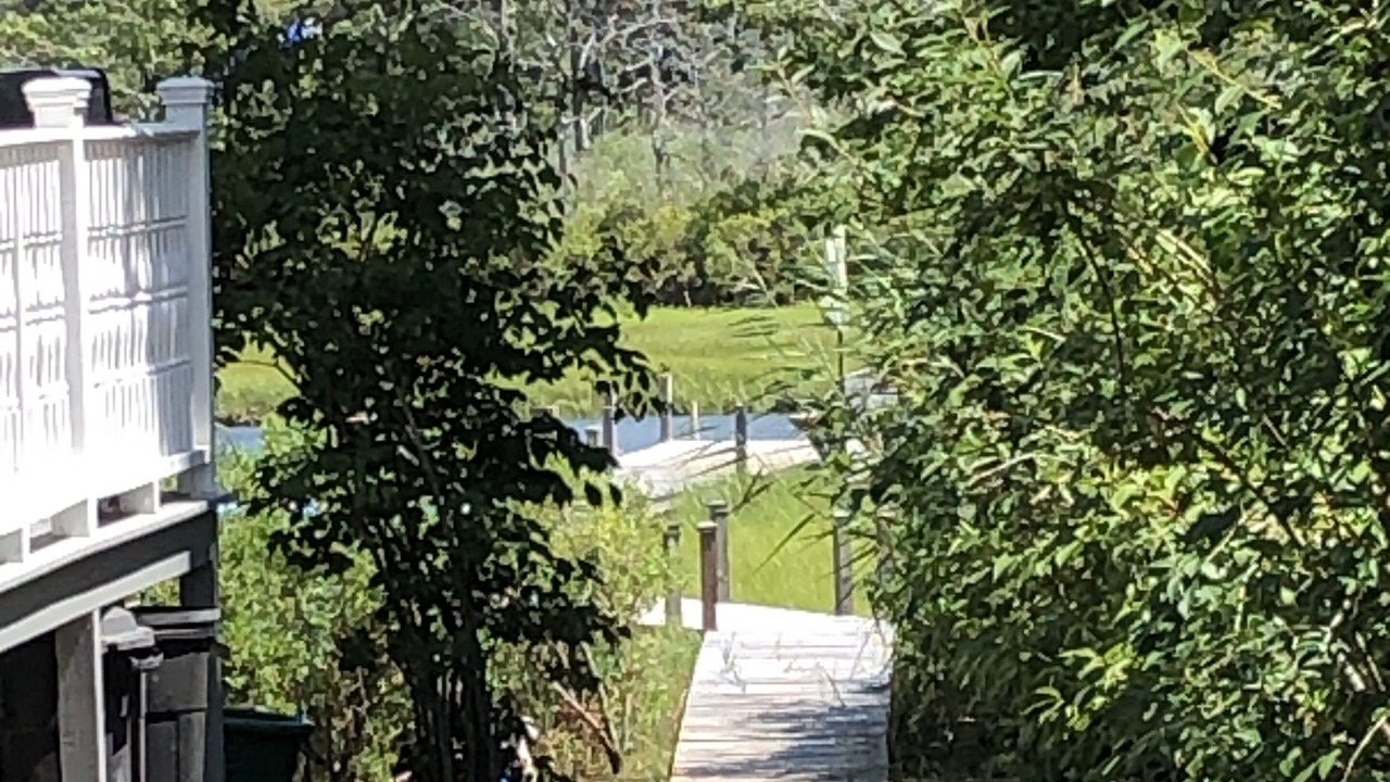 Photo of Outdoor in South Dennis