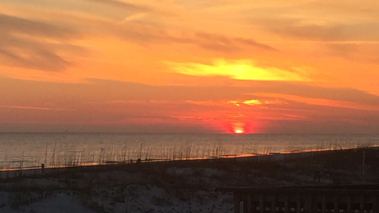Photo of Others in Gulf Shores
