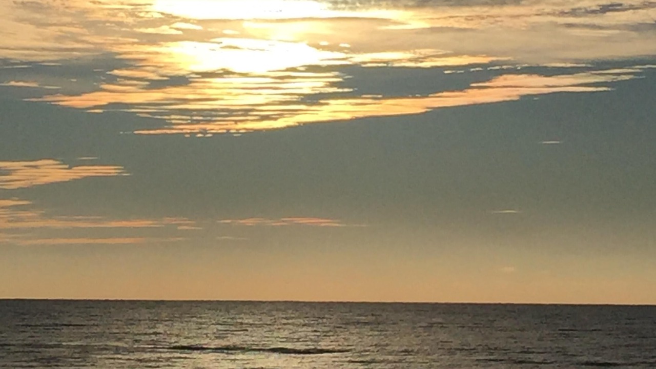 Photo of Others in Gulf Shores
