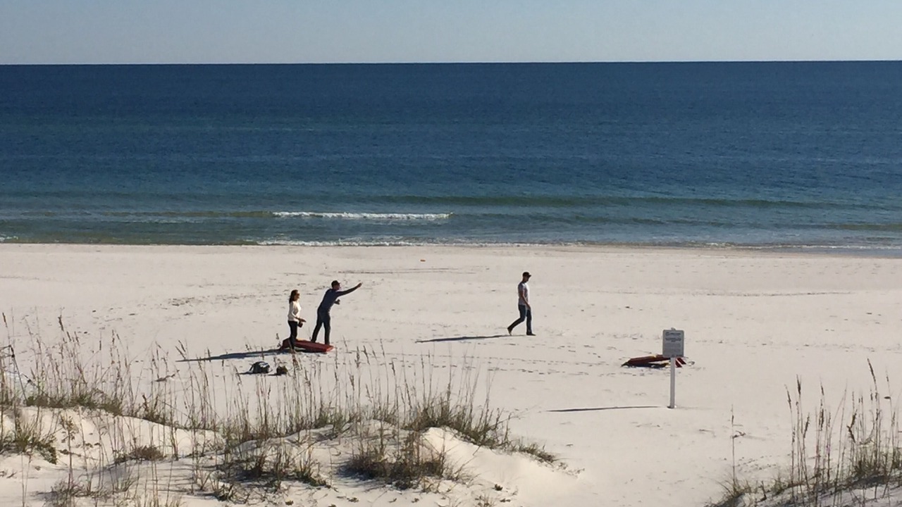 Photo of Others in Gulf Shores