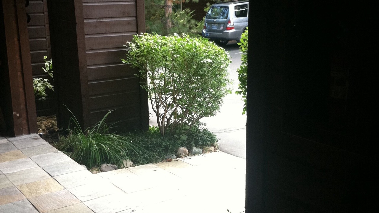 Photo of Outdoor in Crystal Bay