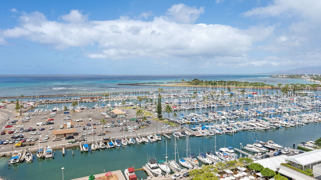 Photo of Others in Waikiki