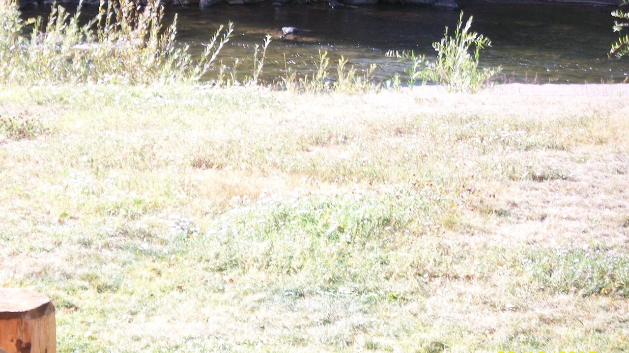 Photo of Outdoor in Antonito