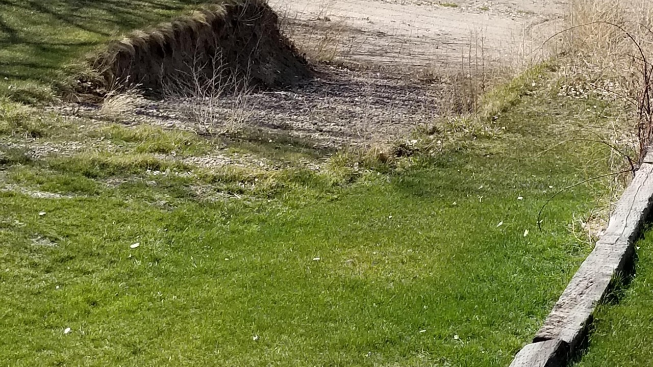 Photo of Outdoor in Lonergan