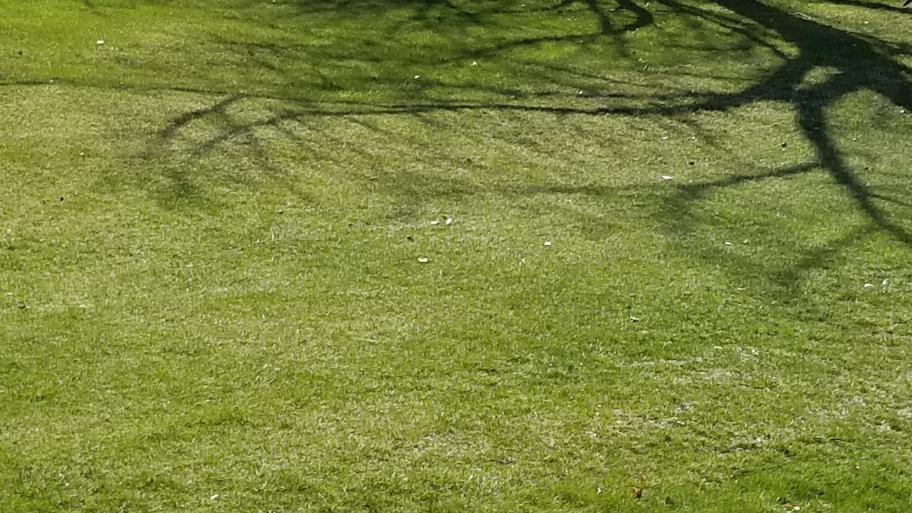 Photo of Outdoor in Lonergan