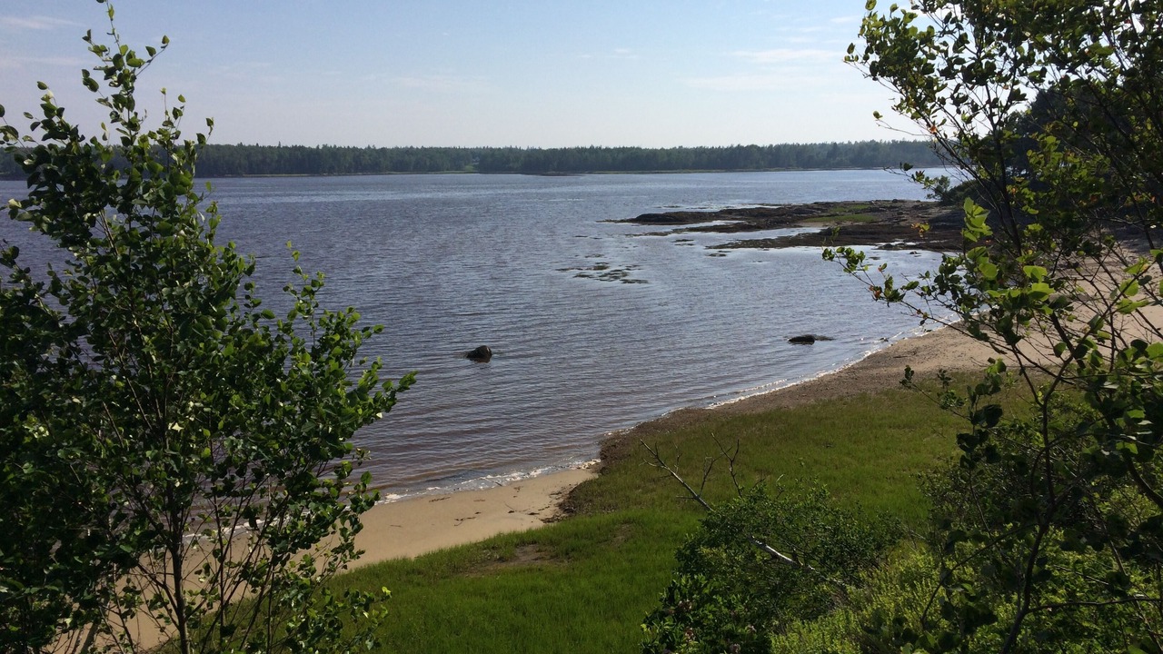 Photo of Others in Milbridge