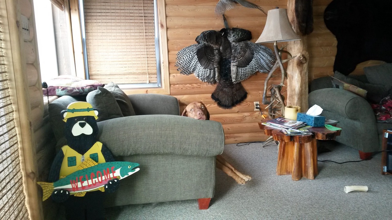 Photo of Livingroom in Lapeer