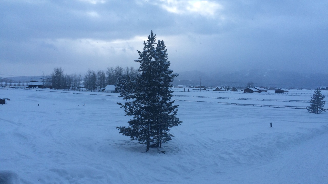 Photo of Others in Alpine Northeast