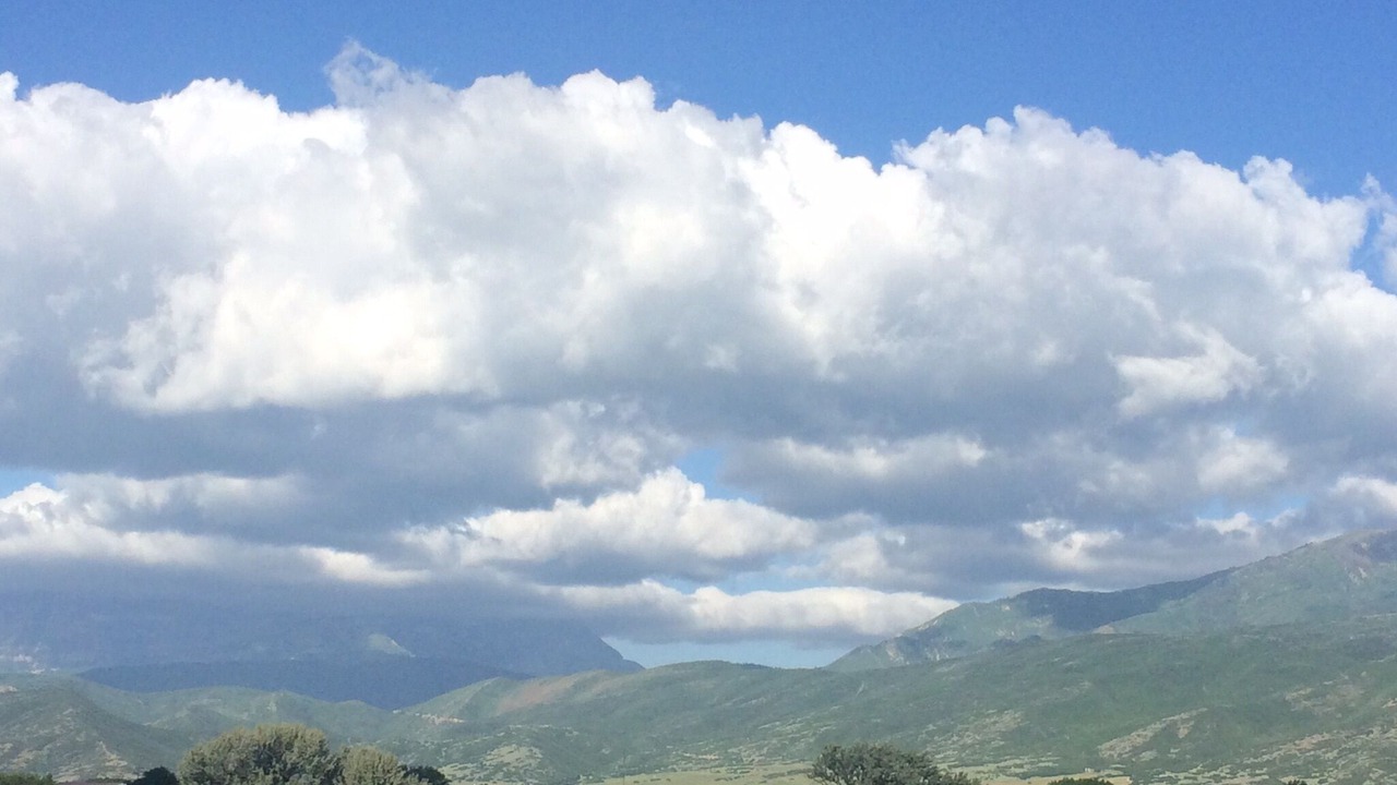 Photo of Others in Alpine Northeast