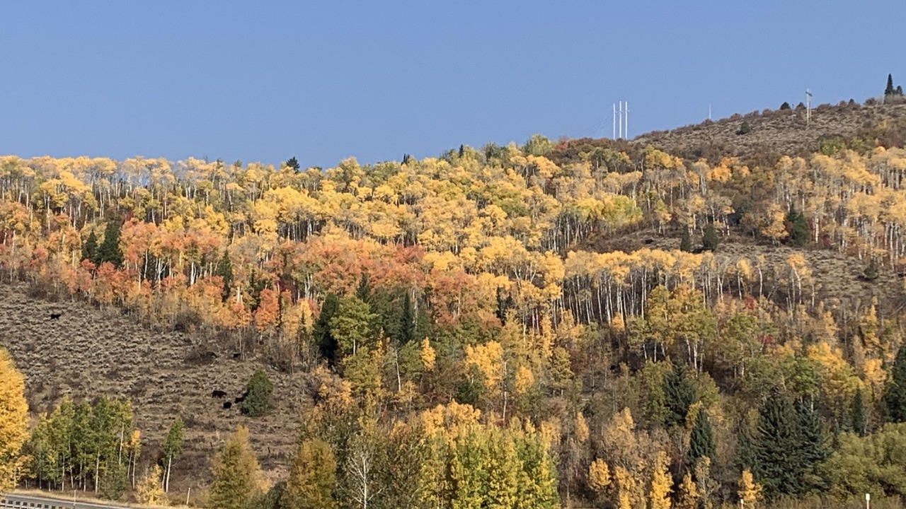 Photo of Outdoor in Alpine Northeast