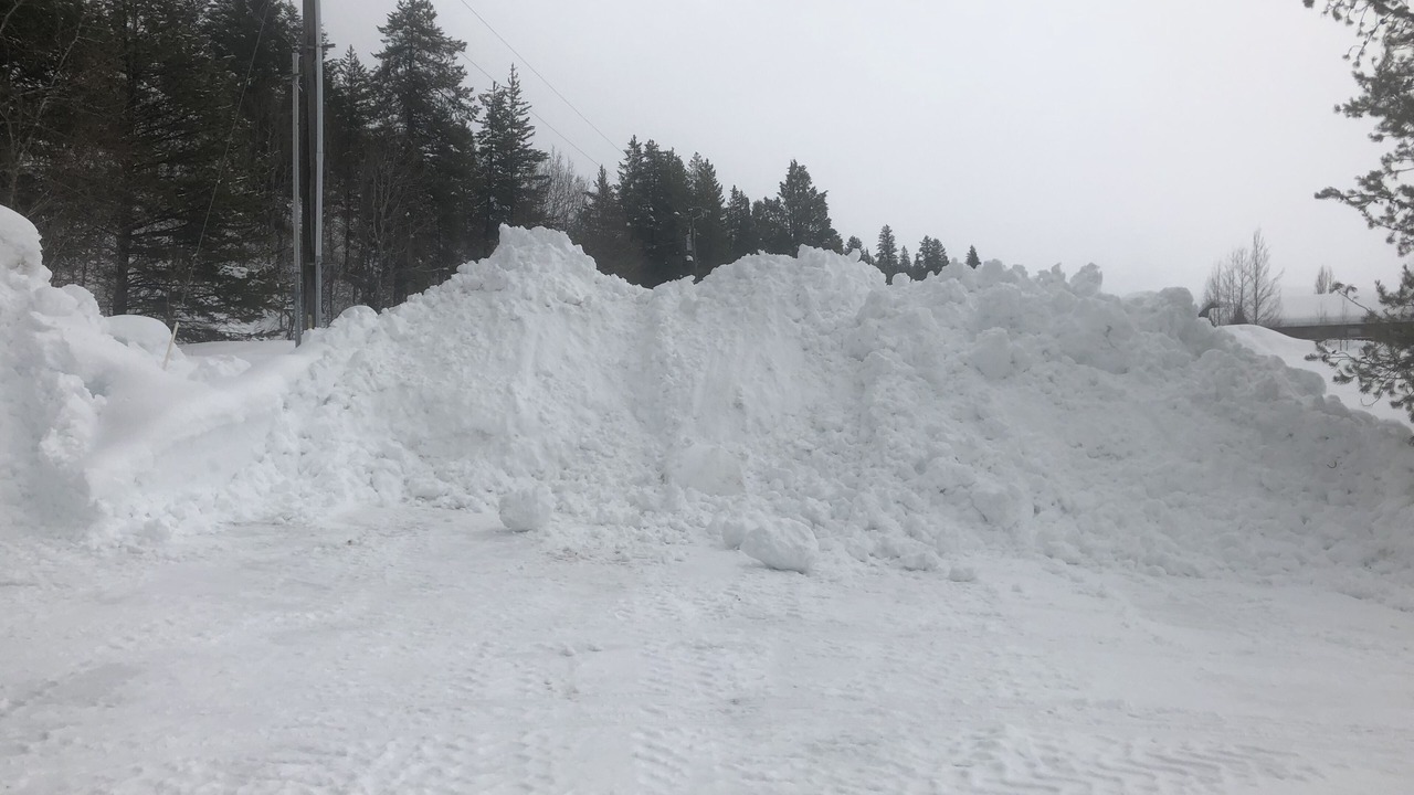 Photo of Others in Alpine Northeast