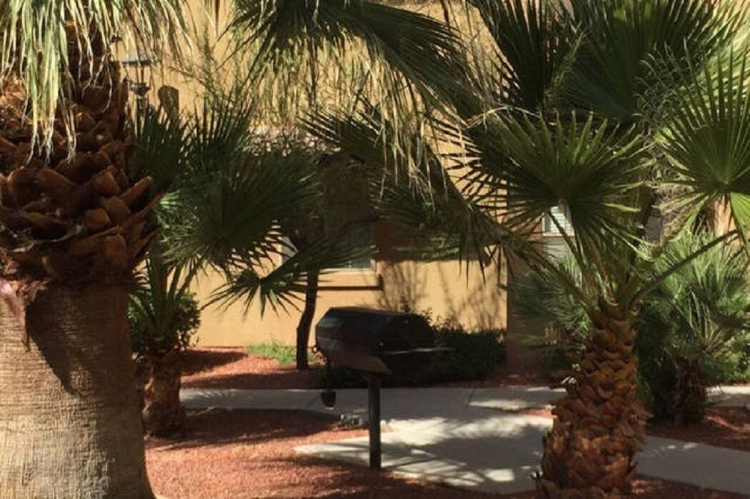 Photo of Outdoor in Mesilla Park