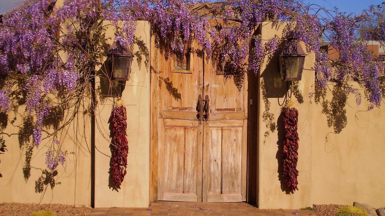 Photo of Outdoor in Mesilla Park