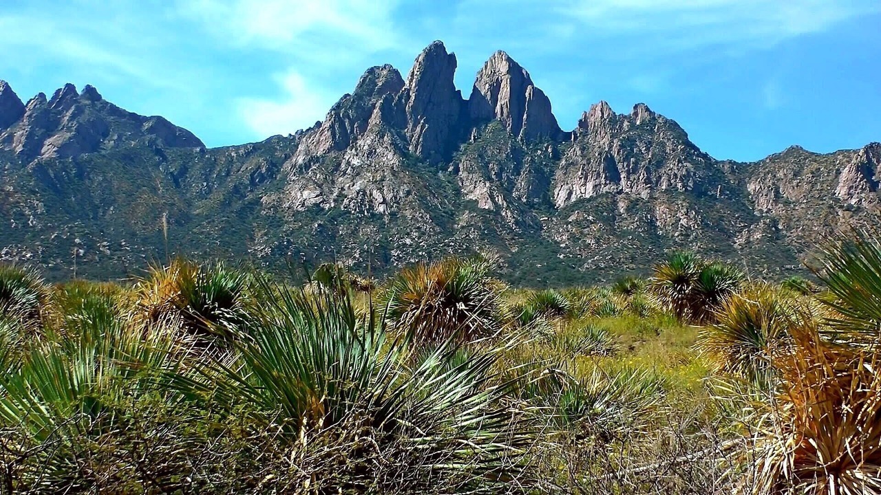 Photo of Outdoor in Mesilla Park