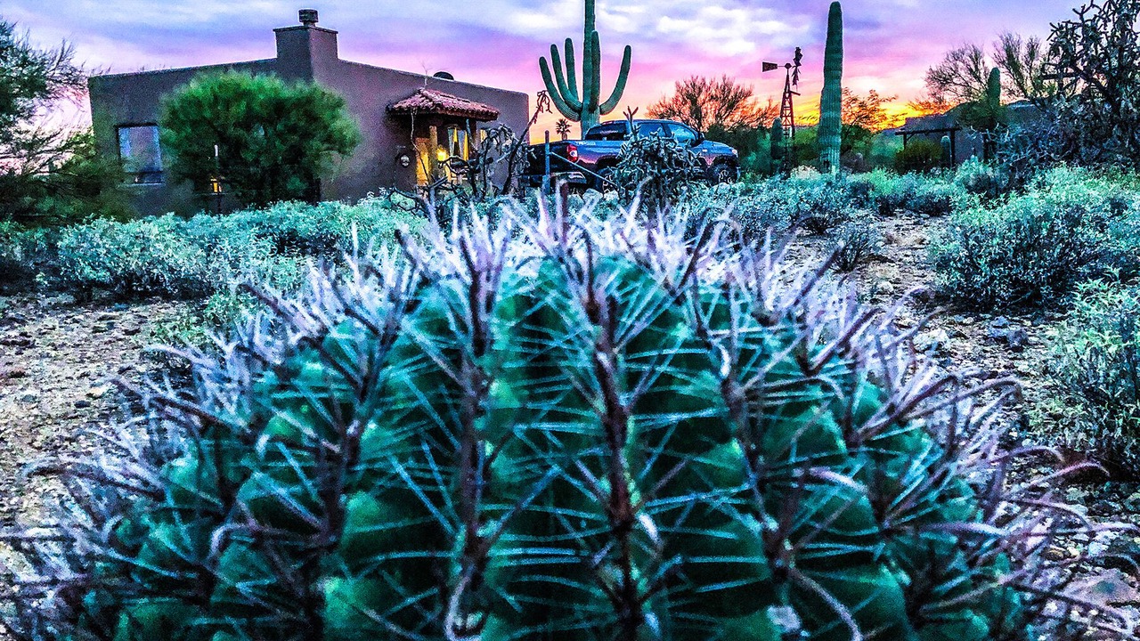 Photo of Outdoor in Tucson