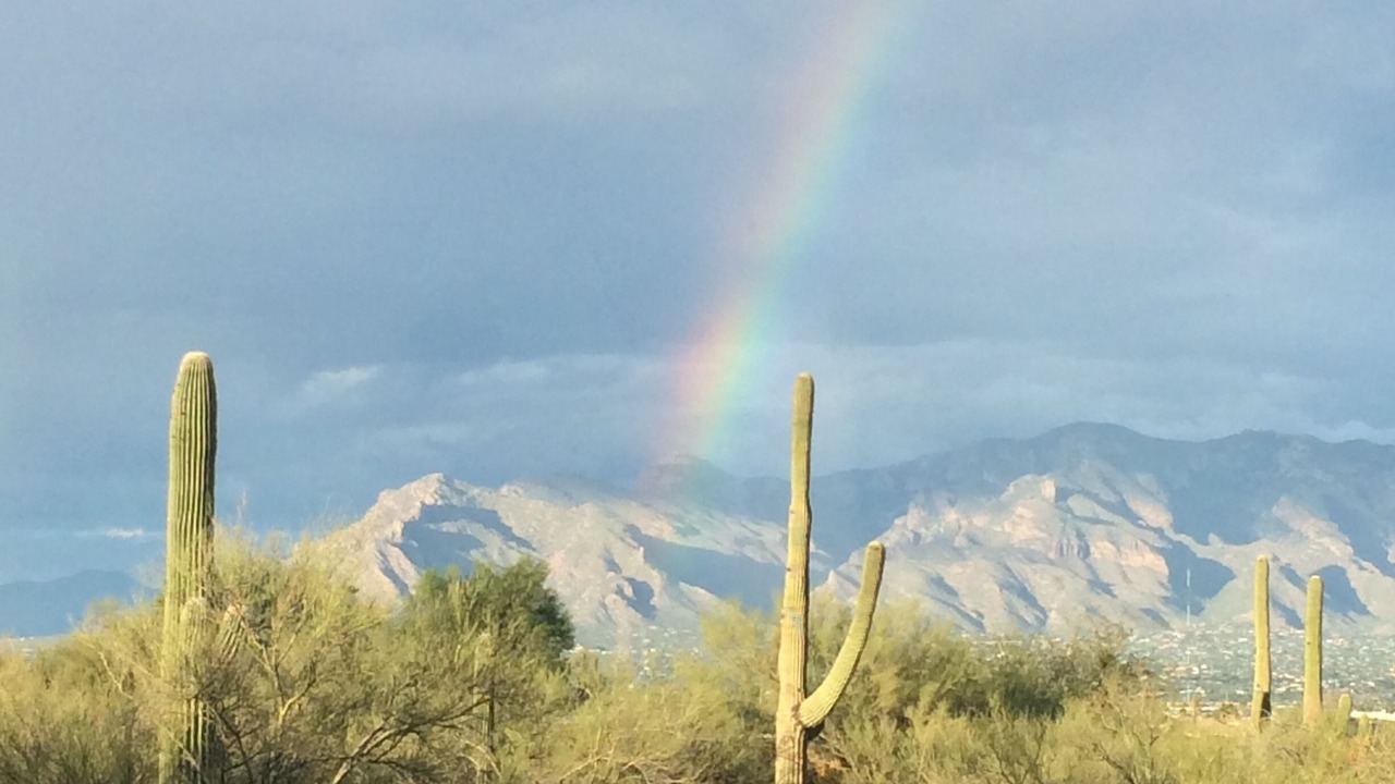 Photo of Outdoor in Tucson