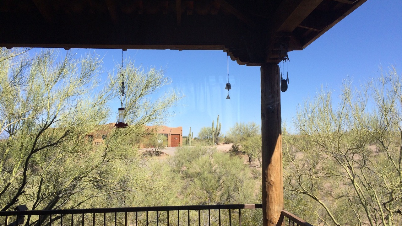 Photo of Outdoor in Tucson