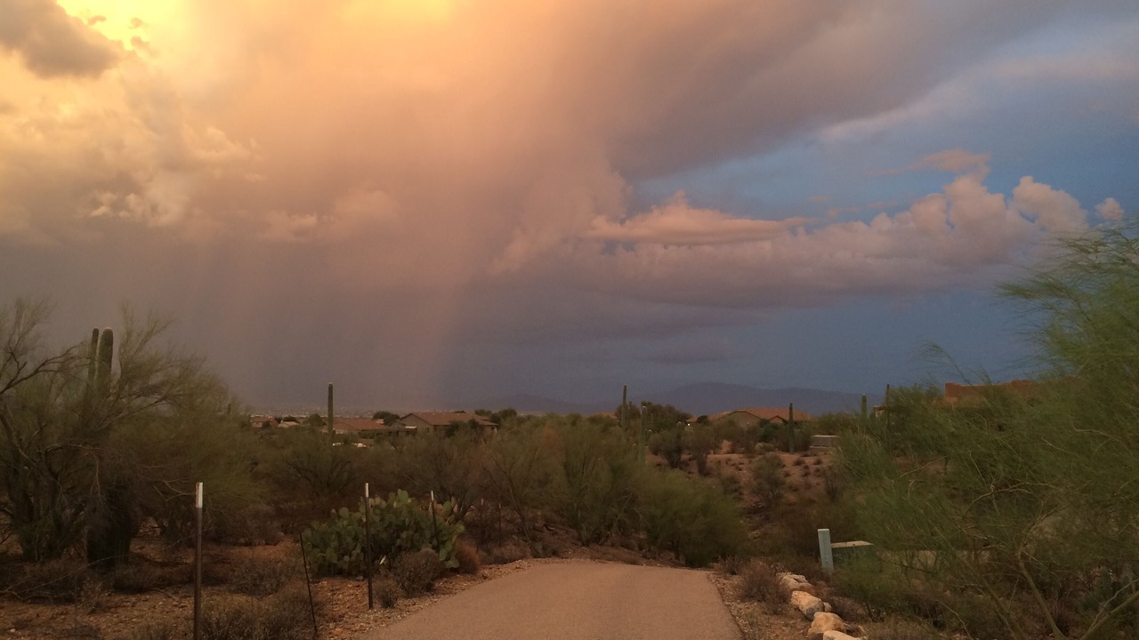 Photo of Others in Tucson