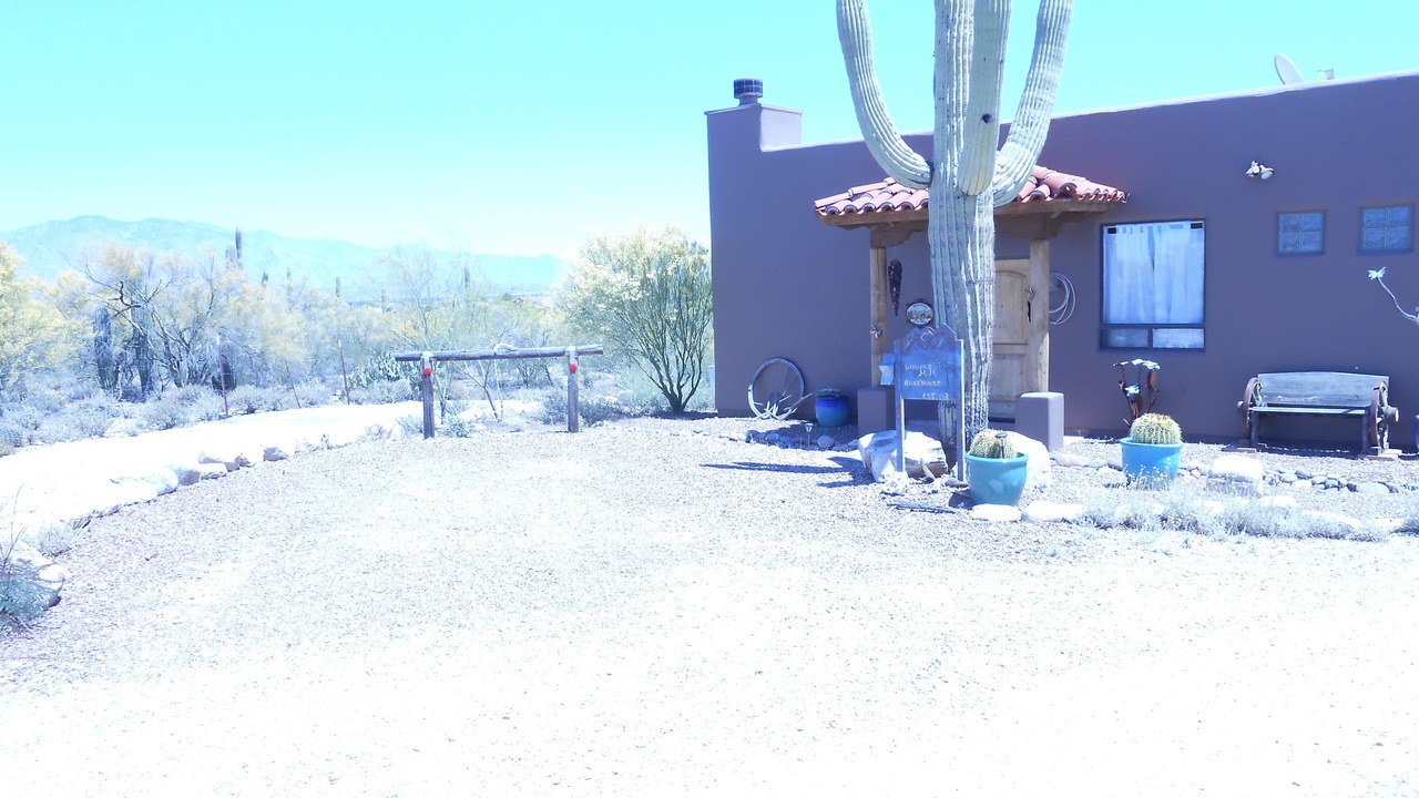 Photo of Others in Tucson