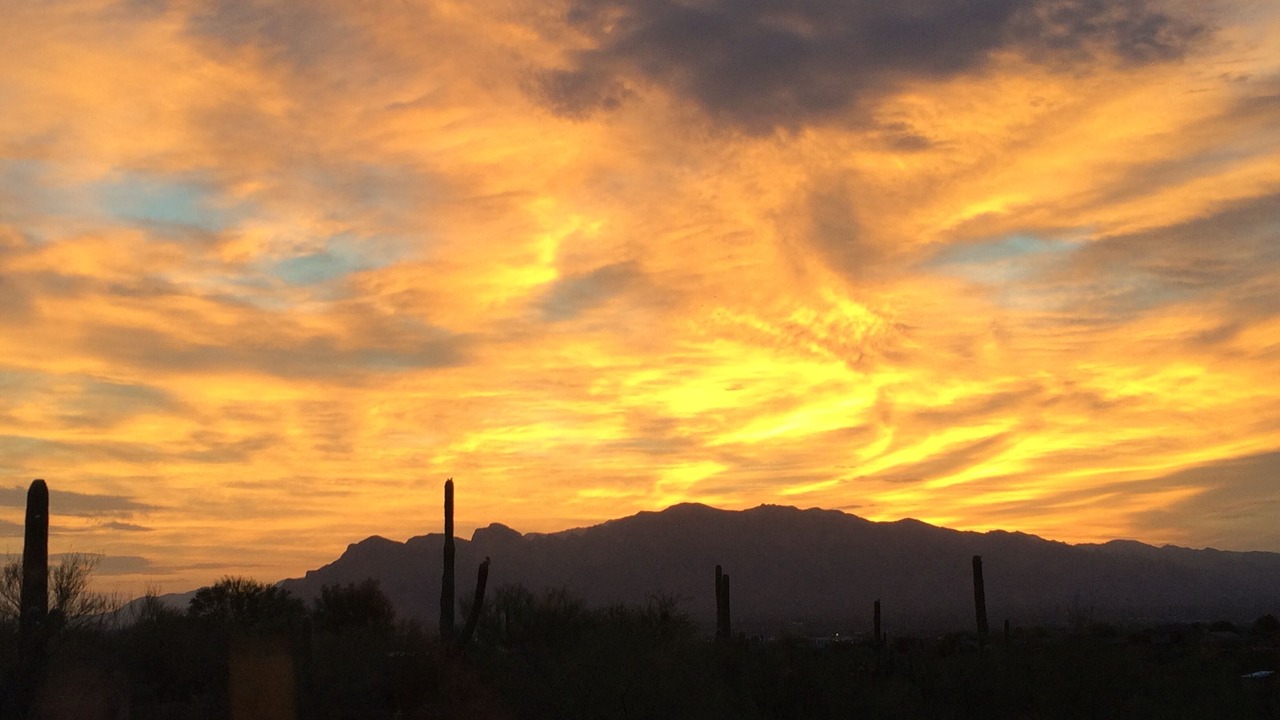 Photo of Others in Tucson