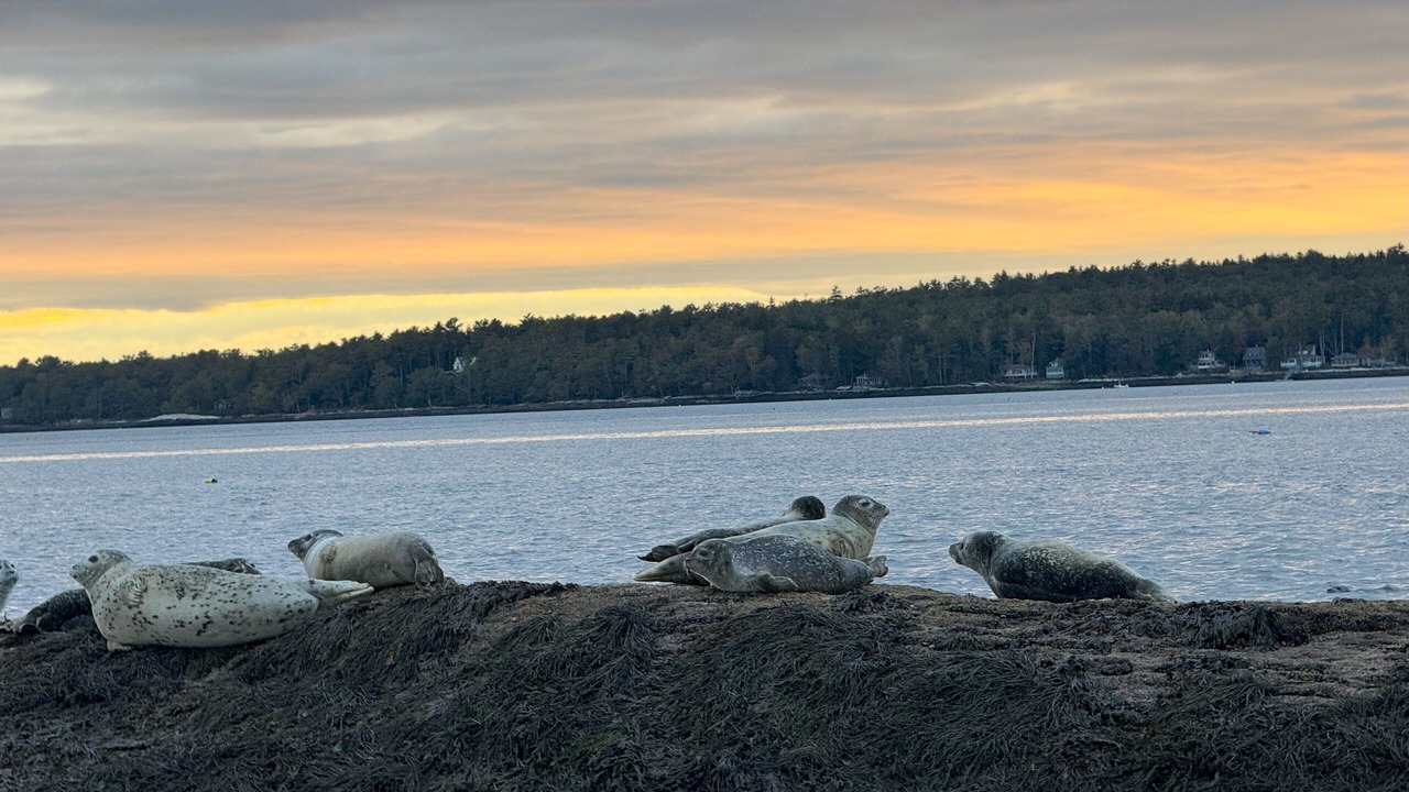 Photo of Others in Bayville