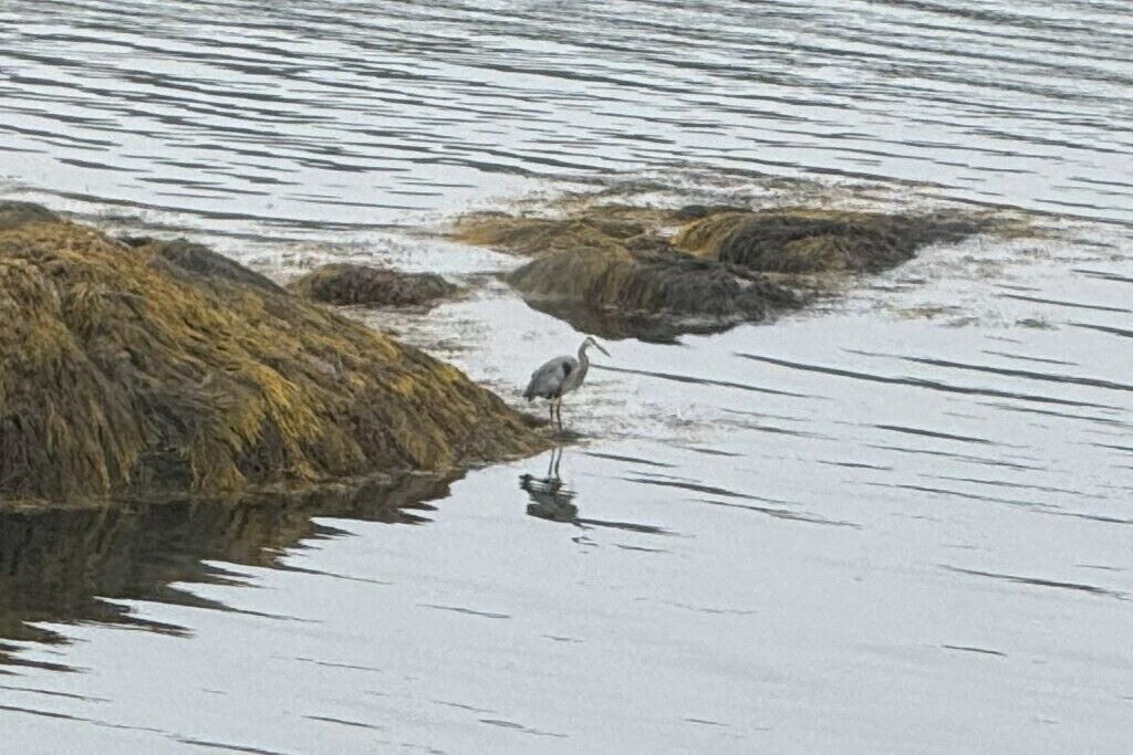 Photo of Others in Bayville