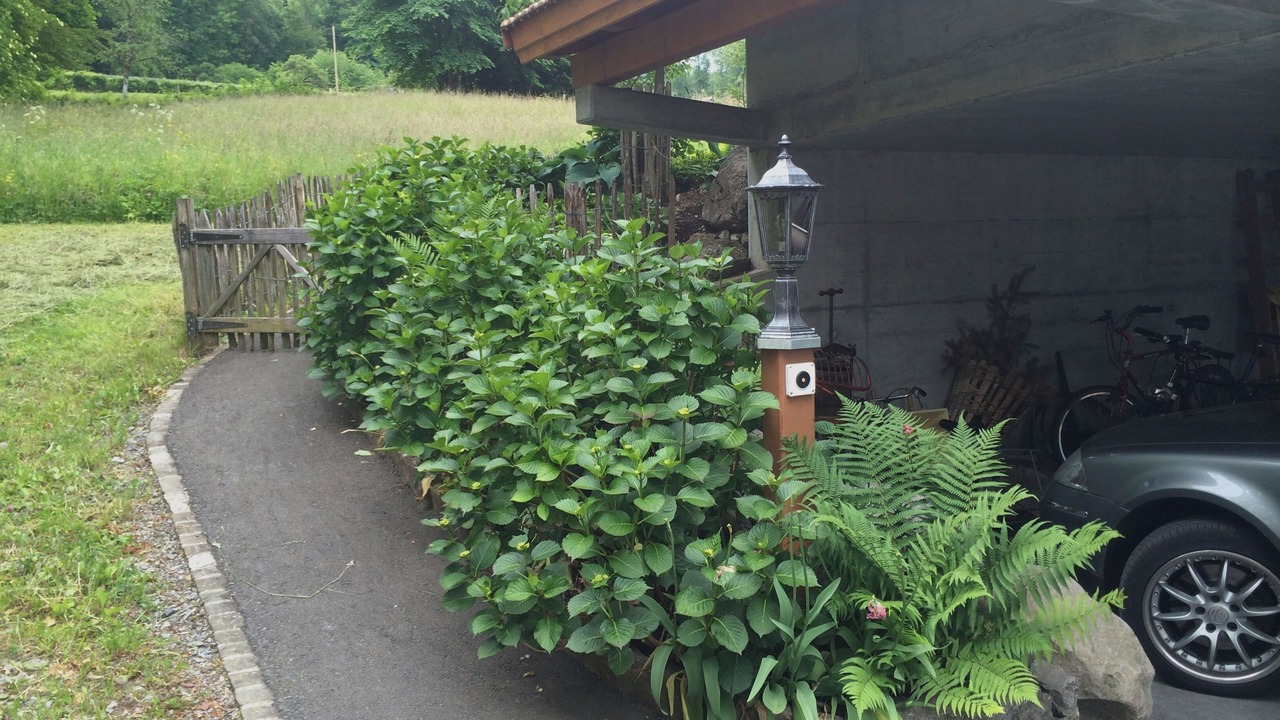 Photo of Outdoor in Boenigen