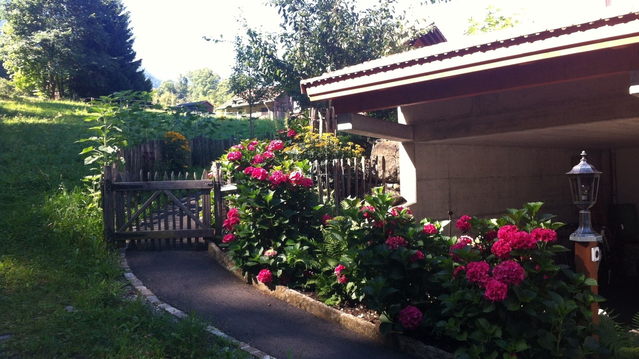 Photo of Others in Boenigen