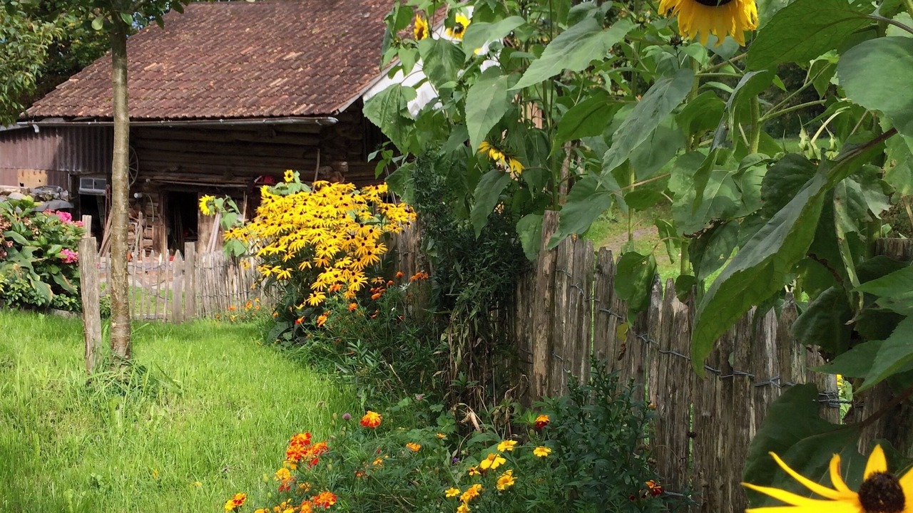 Photo of Outdoor in Boenigen