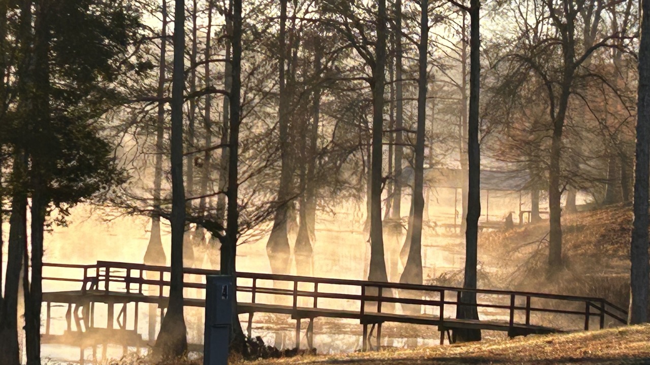 Photo of Outdoor in De Soto Parish