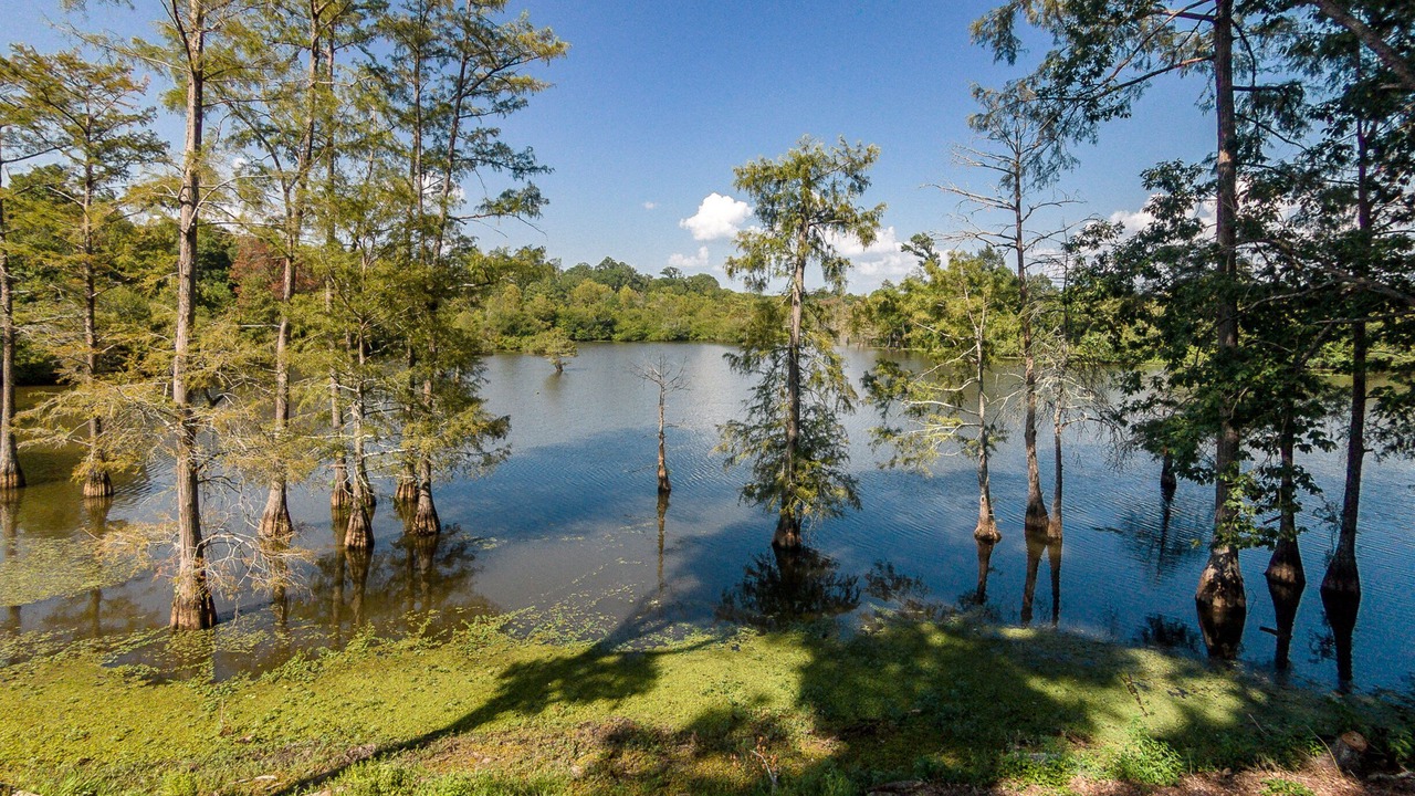 Photo of Others in De Soto Parish