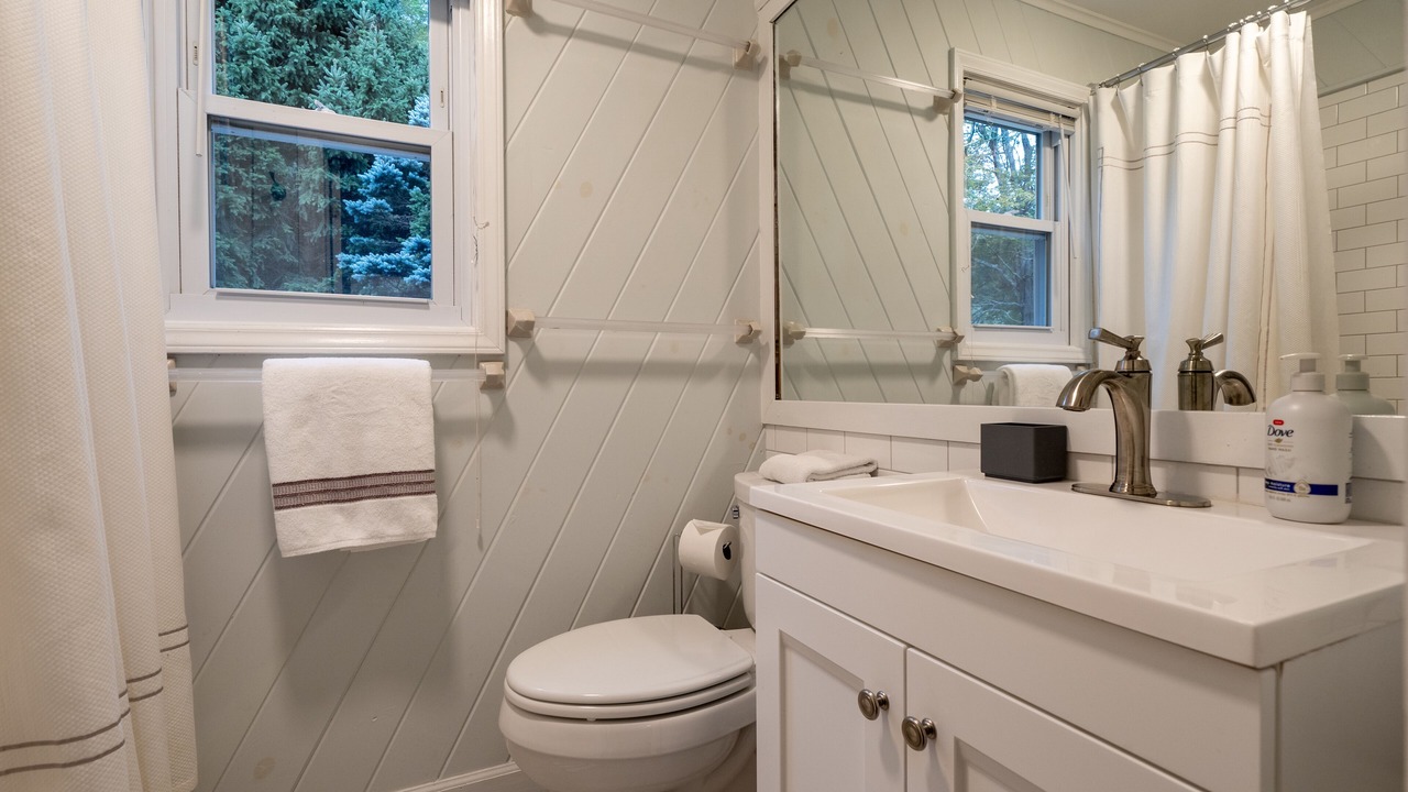 Photo of Bathroom in Hensonville