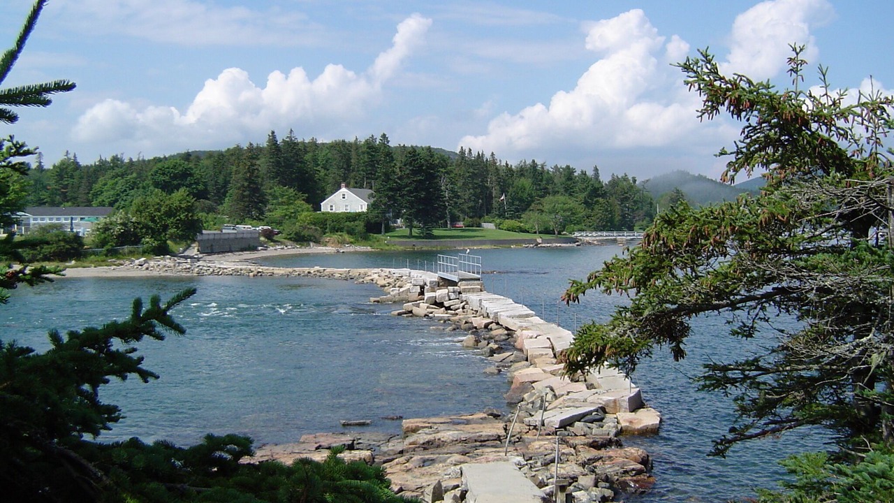 Photo of Others in Southwest Harbor