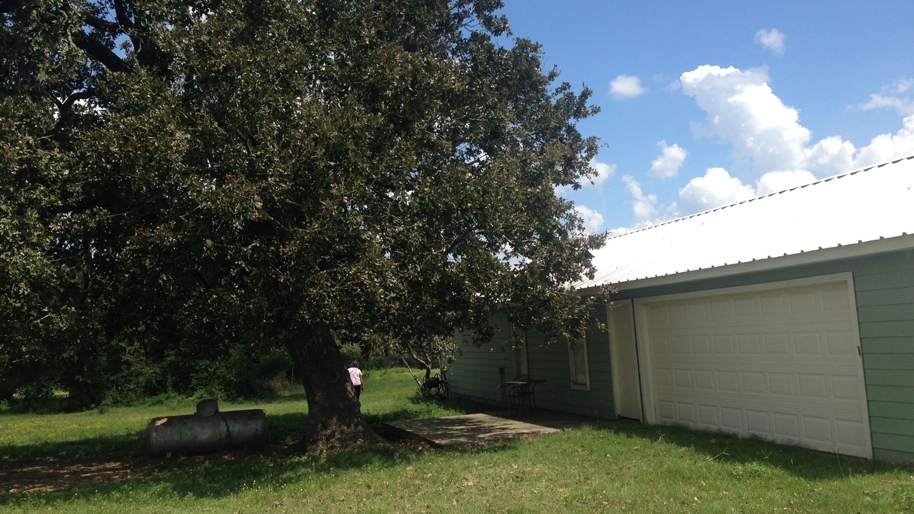 Photo of Outdoor in Bellville