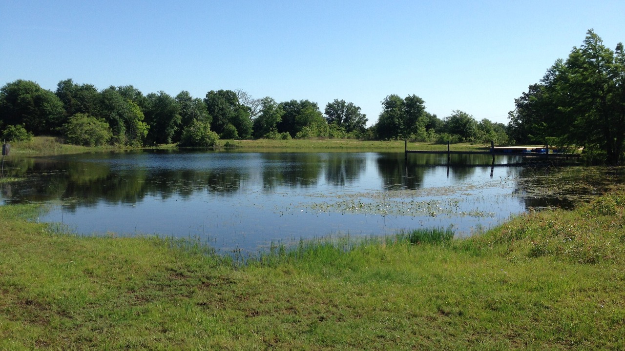 Photo of Outdoor in Bellville