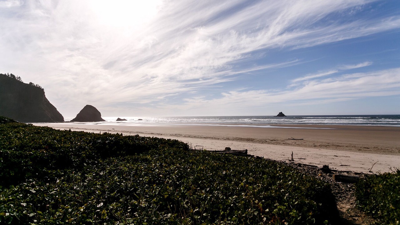 Photo of Others in Arch Cape