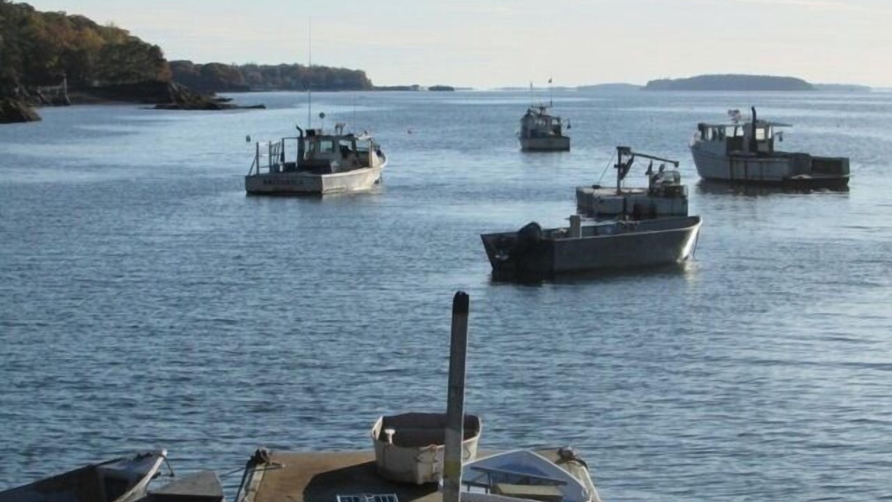 Photo of Others in Orrs Island