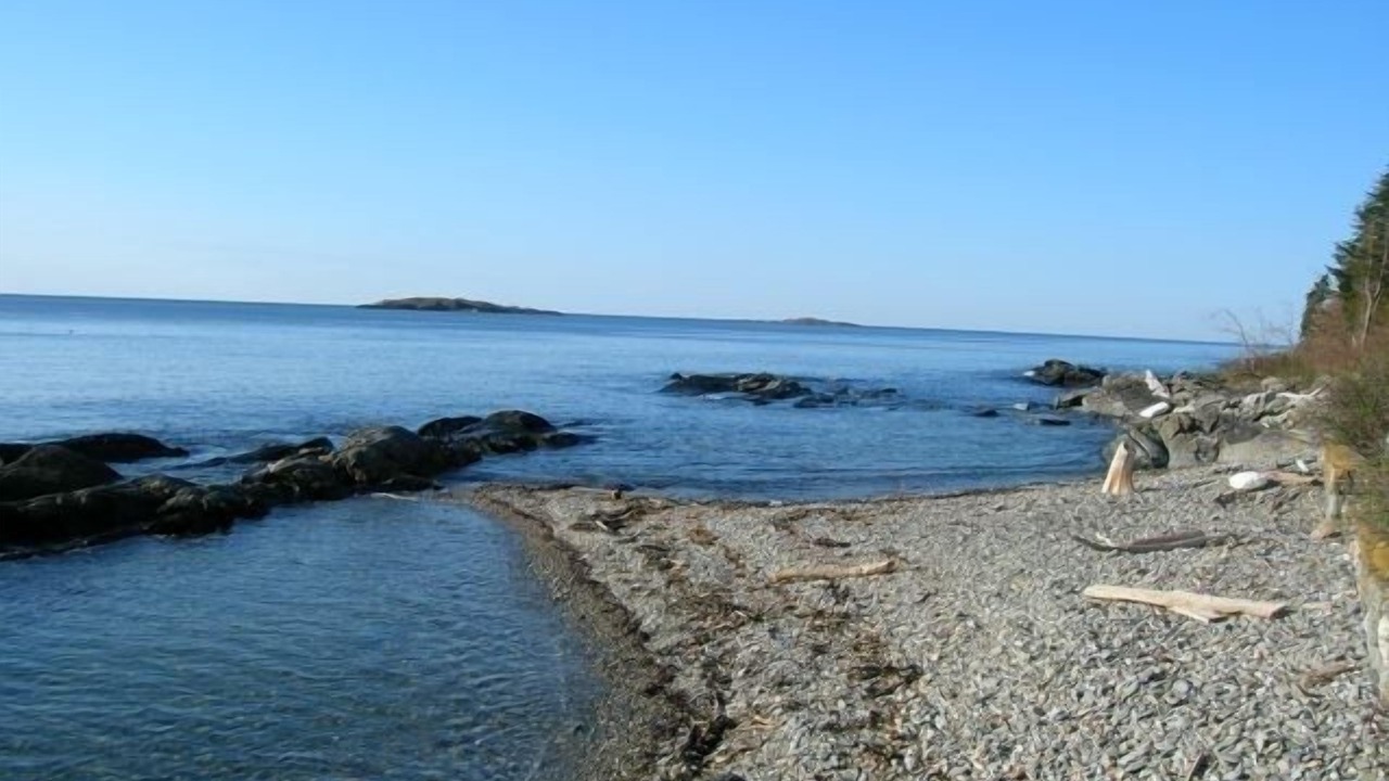 Photo of Others in Orrs Island