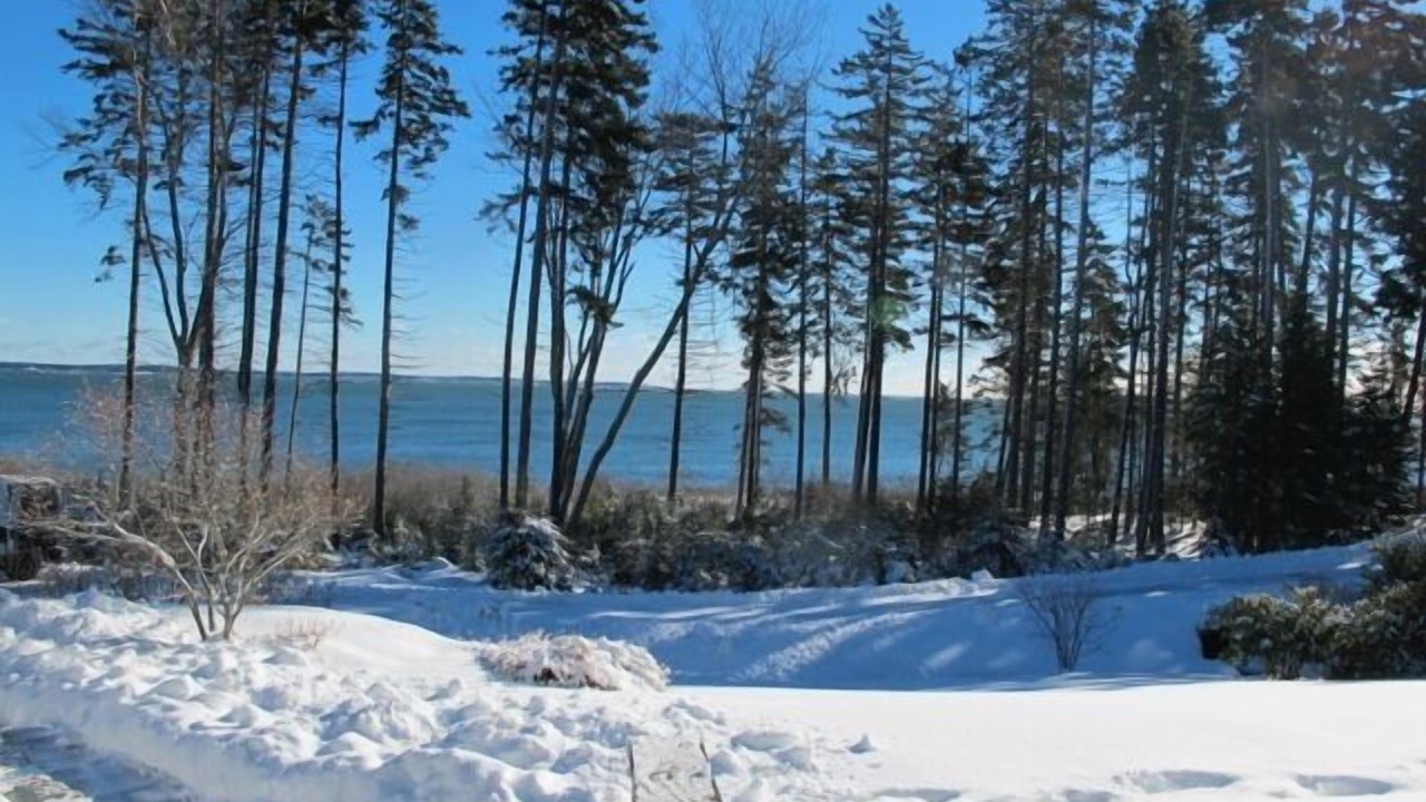 Photo of Others in Orrs Island