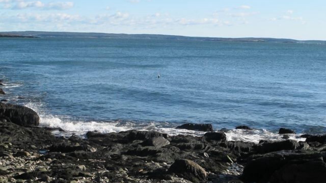 Photo of Others in Orrs Island