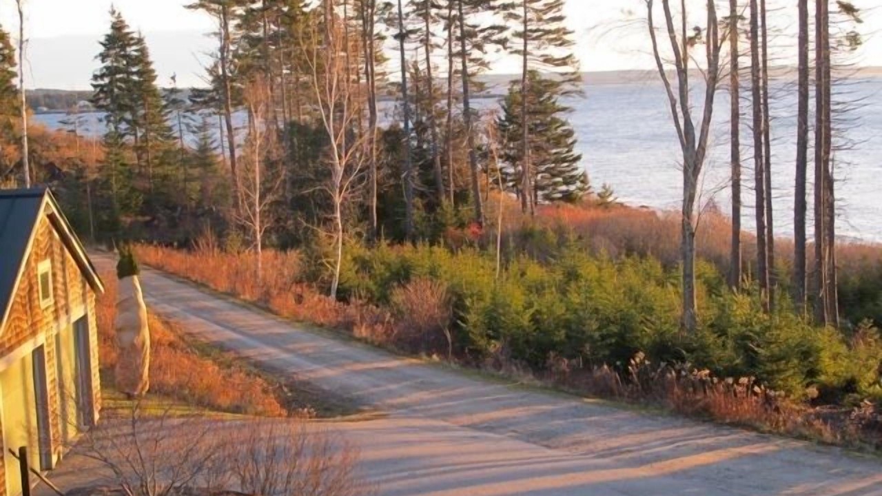 Photo of Others in Orrs Island