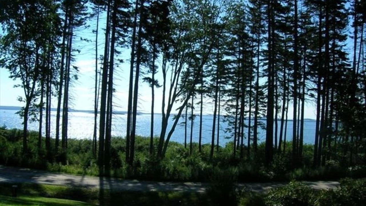 Photo of Others in Orrs Island