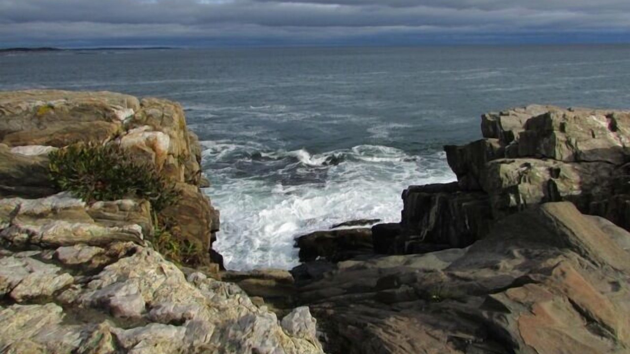 Photo of Others in Orrs Island