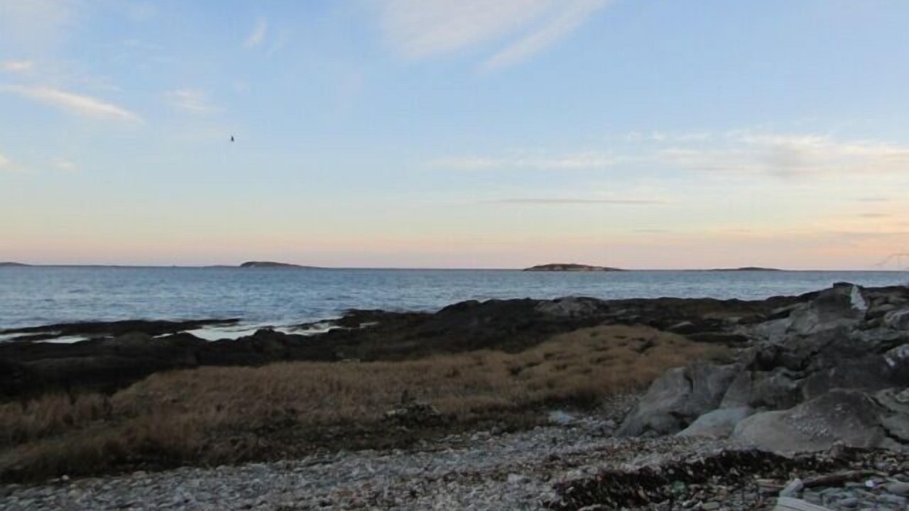 Photo of Others in Orrs Island